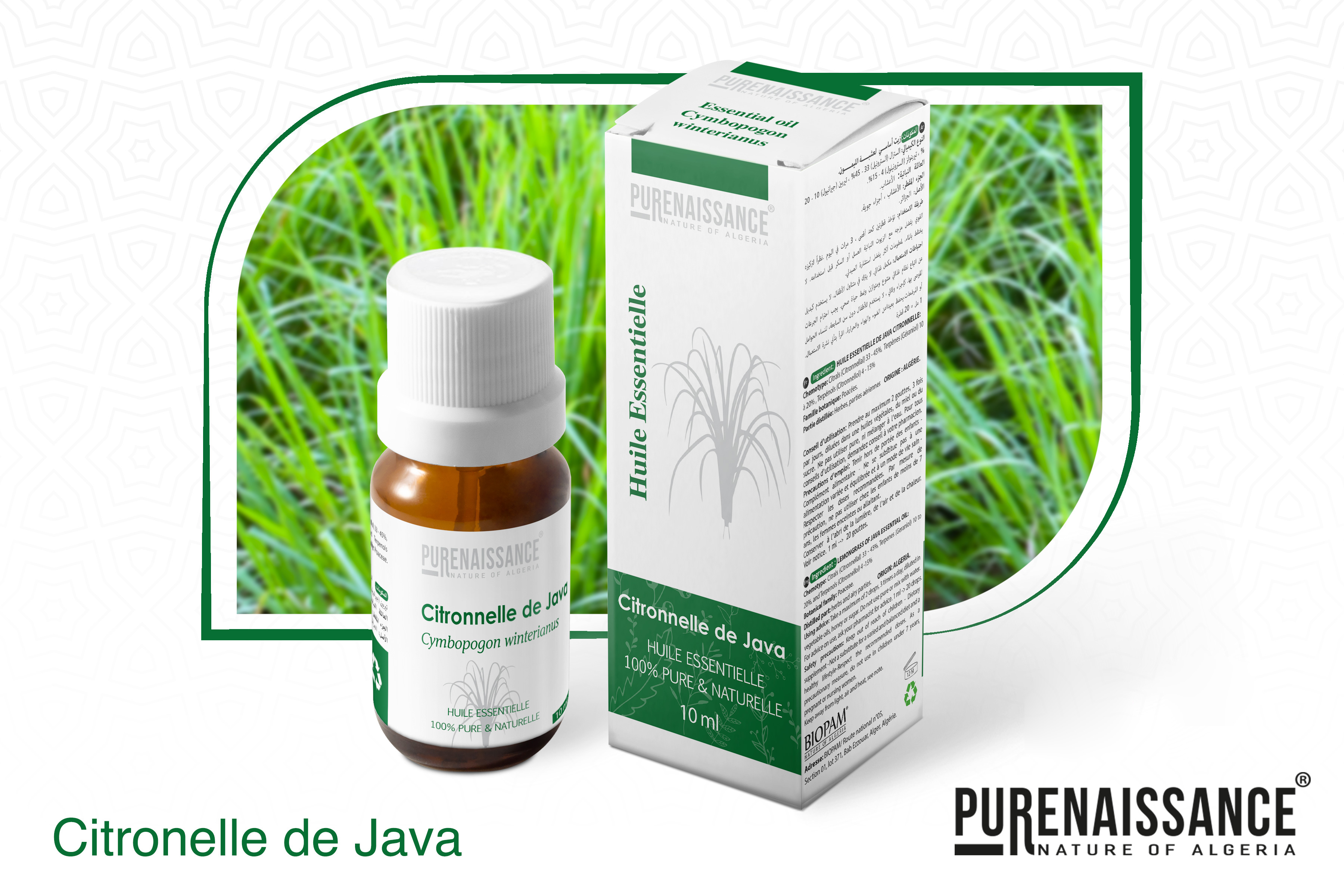 citronelle de java