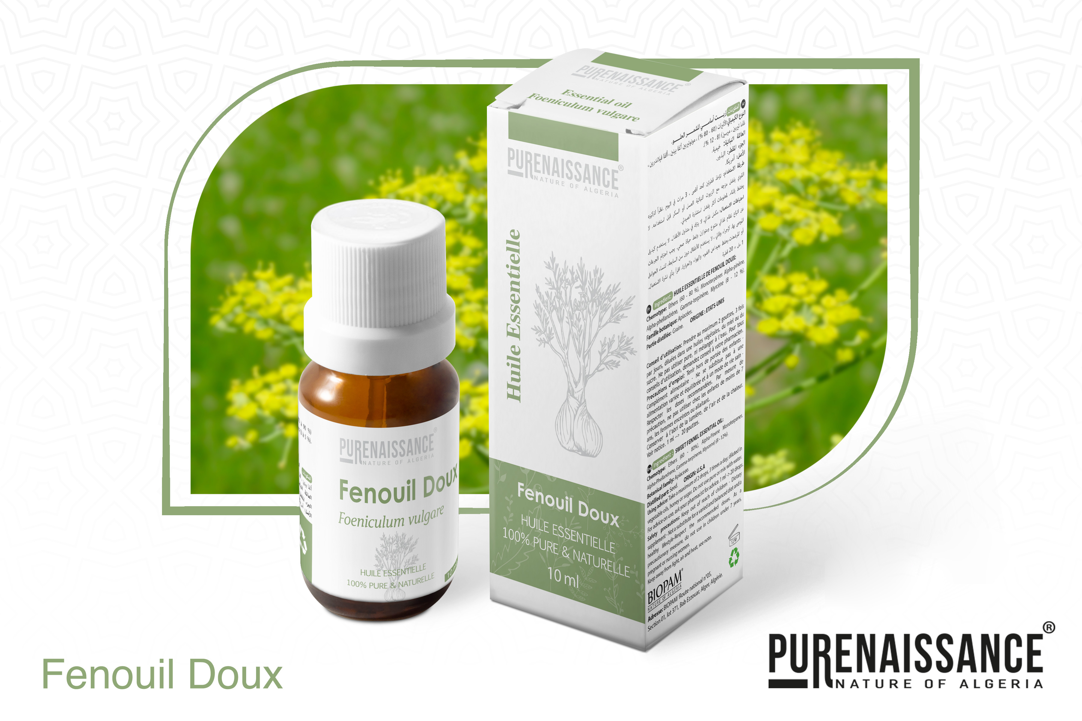 fenouil doux